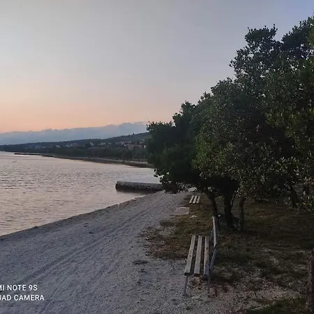 Апартаменты Cuk Krusevo (Zadar)